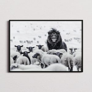 Löwe unter Schafen Druck, Löwe Druck, Löwe Poster, Löwe Foto, Löwe Kunst, Schwarzweißdruck, Schwarzweißwandkunst, Monochrome Drucke