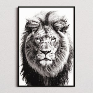 Black and White Lion Print, Lion Print, Lion Poster, Lion Photo, Black and White print, Black and White Wall Art, Black and White Poster