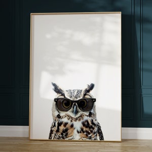 May include: A brown and gray owl wearing black sunglasses. The owl is looking directly at the camera. The background is white.