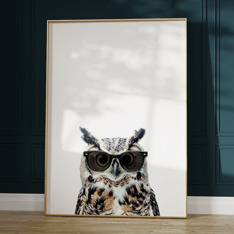 May include: A brown and gray owl wearing black sunglasses. The owl is looking directly at the camera. The background is white.