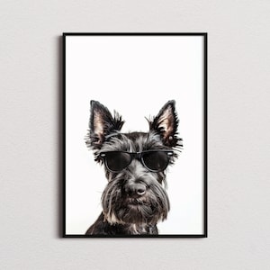Black Scottish Terrier In Sunglasses Print, Black Scottish Terrier Print, Black Scottish Terrier Poster, Funny Scottish Terrier Print