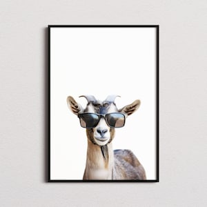 Impresión de cabra con gafas de sol, impresión de cabra, póster de cabra, impresión divertida de cabra, arte de cabra, arte para dormitorio infantil, impresión divertida de animal