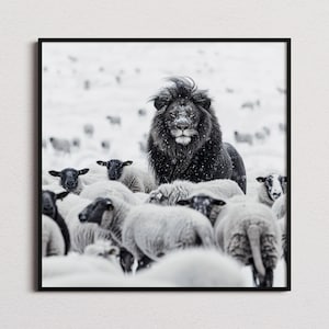 Lion Among Sheep Print, Lion Print, Lion Poster, Lion Photo, Lion Art, Black and White print, Black and White Wall Art, Monochrome Prints