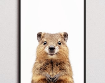 Impresión de Quokka, póster de Quokka, arte de pared de Quokka, impresión artística de Quokka, foto de Quokka