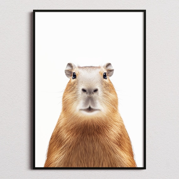 Capybara Print, Capybara Poster, Capybara Wall Art, Capybara Art Print, Capybara Photo