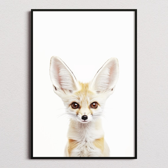 Fennec Fox Print, Fennec Fox Poster, Fennec Fox Wall Art, Fennec Fox Art Print, Fennec Fox Photo