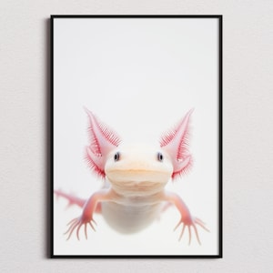 Axolotl Print, Axolotl Poster, Axolotl Wall Art, Axolotl Art Print, Axolotl Photo