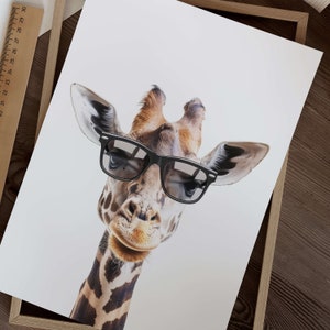 May include: A close-up of a giraffe wearing black sunglasses. The giraffe has a brown and white patterned coat. The background is white.