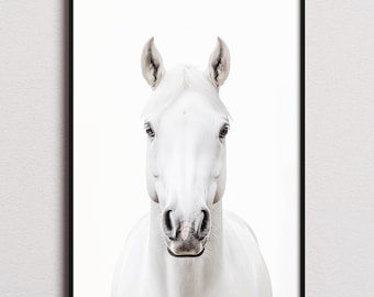 Horse Print, Horse Poster, Horse Wall Art, Horse Art Print, Horse Photo, Nursery Prints, Kids Bedroom