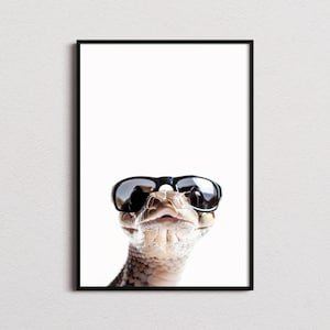 May include: A framed wall art print featuring a close-up of a light brown snake wearing black-rimmed sunglasses. The snake is positioned centrally against a stark white background, with its textured scales and snout clearly visible beneath the eyewear.