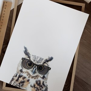 May include: A brown and gray owl wearing black framed glasses. The owl is looking to the left of the image.