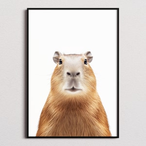 Capybara Print, Capybara Poster, Capybara Wall Art, Capybara Art Print, Capybara Photo image 1