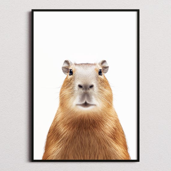 Capybara Print, Capybara Poster, Capybara Wall Art, Capybara Art Print, Capybara Photo