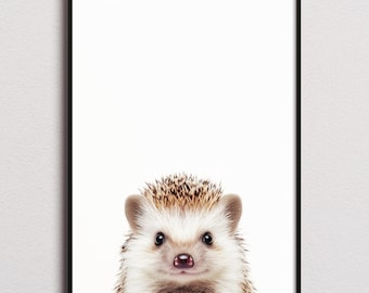 Hedgehog Print, Hedgehog Poster, Hedgehog Wall Art, Hedgehog Art Print, Hedgehog Photo