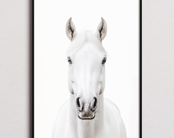 Horse Print, Horse Poster, Horse Wall Art, Horse Art Print, Horse Photo, Nursery Prints, Kids Bedroom