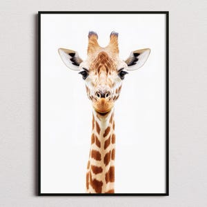 Giraffe Print, Giraffe Poster, Giraffe Wall Art, Giraffe Art Print, Giraffe Photo