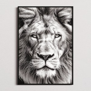 Black and White Lion Print, Lion Print, Lion Poster, Lion Photo, Black and White print, Black and White Wall Art, Black and White Poster