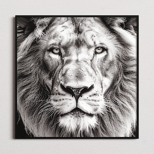 Black and White Lion Print, Lion Print, Lion Poster, Lion Photo, Black and White print, Black and White Wall Art, Black and White Poster