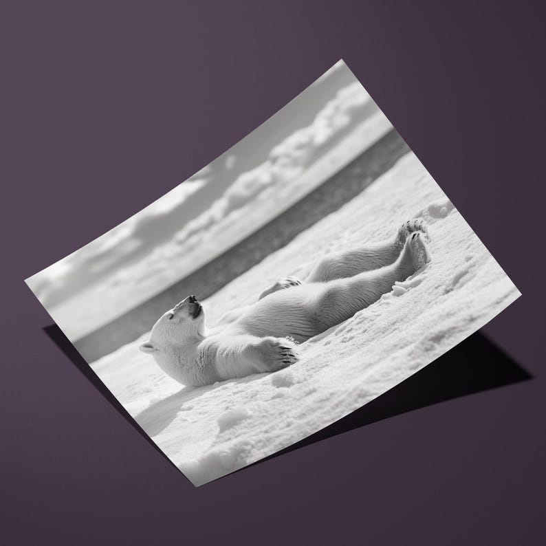 Polar Bear Relaxing Print, Polar Bear Print, Polar Bear Art, Polar Bear Poster, Monochrome Decor, Monochrome Print, Monochrome Art, image 2