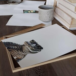 Impresión de cocodrilo con gafas de sol, impresión de cocodrilo, póster de cocodrilo, impresión divertida de cocodrilo, arte de cocodrilo, arte para dormitorio infantil, impresión divertida de animal imagen 6
