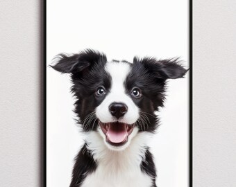 Impresión de cachorro de Border Collie, póster de Border Collie, arte de pared de Border Collie, impresión artística de Border Collie, foto de Border Collie, impresión de Border Collie