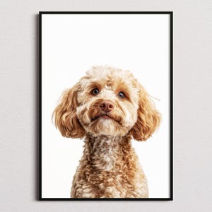 Puede incluir: Un retrato enmarcado de un perro de pelo rizado color marrón claro, con orejas caídas y ojos oscuros. El perro mira directamente hacia adelante sobre un fondo blanco liso. La obra está encerrada en un marco negro sencillo con un borde limpio.