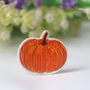 piccola zucca, carina, toppa da stirare, toppa ricamata, toppa divertente, toppa carina, per gilet, per borsa tote