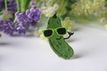 cool cucumber patch, iron on patch, embroidered patch, funny patch, cool patch, for vest, for tote bag