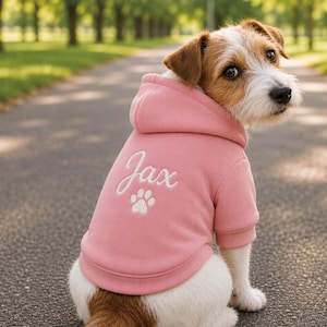 Personalized embroidered Dog Hoodie, Personalized Dog Name Hooded Sweatshirt, Warm Dog Sweater,Unique Dog Mom Gift, Dog Birthday Present