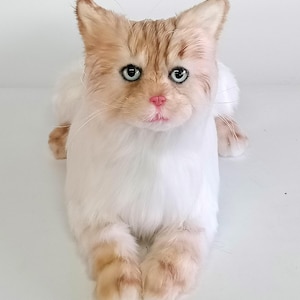 May include: A white and orange cat with blue eyes is lying down on a white surface. The cat has a fluffy coat and is looking directly at the camera.