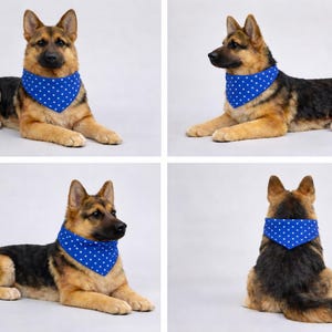 Puede incluir: Un perro pastor alem&aacute;n con un pa&ntilde;uelo azul con lunares blancos. El perro est&aacute; tumbado, mostrando su pelaje negro, marr&oacute;n y canela. La imagen presenta al perro desde m&uacute;ltiples &aacute;ngulos.