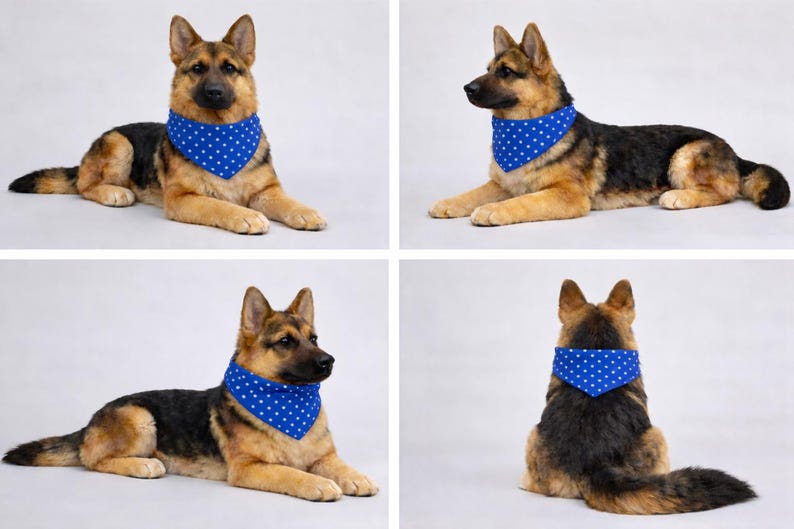 Puede incluir: Un perro pastor alem&aacute;n con un pa&ntilde;uelo azul con lunares blancos. El perro est&aacute; tumbado, mostrando su pelaje negro, marr&oacute;n y canela. La imagen presenta al perro desde m&uacute;ltiples &aacute;ngulos.