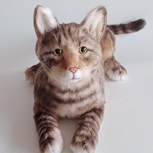 Lebensechte Plüsch Katze: Realistischer Katzen Begleiter - DragonMoss