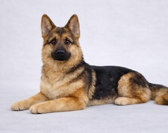 Lifelike German Shepherd Plush, Realistic Companion Dog, Pet Memorial Comfort Toy