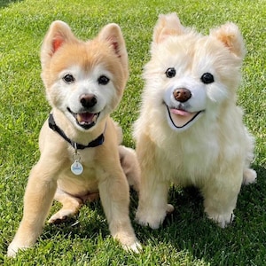 Personalized Pet Replica Plush from Photo, Custom Pet Memorial Gift