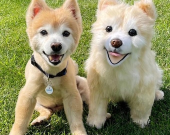 Personalized Pet Replica Plush from Photo, Custom Pet Memorial Gift