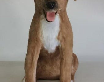 DragonMoss - Perros de peluche realistas - Ya hechos - No son personalizados