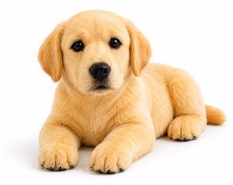 イヌ ぬいぐるみ 犬 ゴールデンパピー【新品タグ付き】 イヌ イヌ ぬいぐるみ 犬 ゴールデンパピー【新品タグ付き】 イヌ