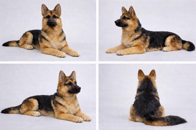 Puede incluir: Escultura realista de un perro pastor alem&aacute;n en posici&oacute;n de descanso. El pelaje del perro es una mezcla de marr&oacute;n, negro y beige. La imagen muestra al perro desde m&uacute;ltiples &aacute;ngulos, destacando sus detalles realistas y su expresi&oacute;n concentrada.
