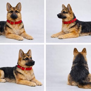 Puede incluir: Figura de perro pastor alem&aacute;n en cuatro vistas. El perro est&aacute; tumbado, con un collar rojo. El pelaje del perro es una mezcla de negro, marr&oacute;n y beige. El fondo es blanco liso.