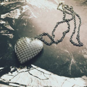Collar con medallón largo / medallón de corazón grande / plata decorativa / Portland, Oregón / joyería para uso diario