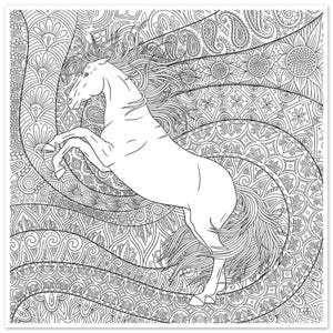 Poster di cavallo rampante fantasy - Arte da colorare in stile Lineart per gli amanti dell'equitazione - Idea regalo fai da te