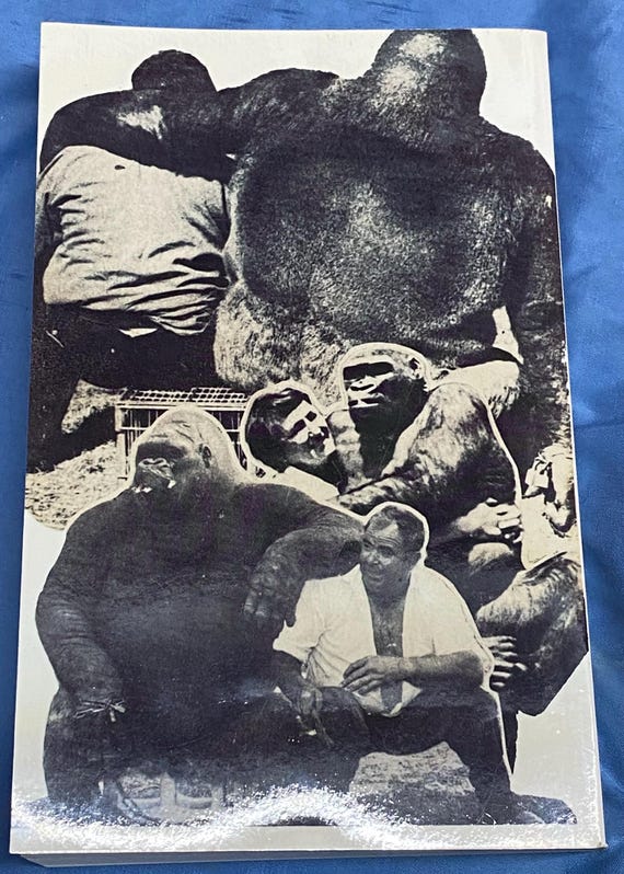 Noell's Ark Gorilla Show and Chimp Farm Collection; Tarpon Springs