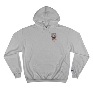 Kampioen hoodie afbeelding 6