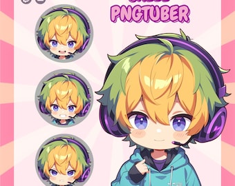 Custom Chibi PNGTuber Model: Streaming Avatar + Expressions