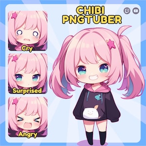 CUSTOM Chibi-pngtuber, PNGTUBER CUSTOM, PNGtuber-personage, PNGtuber voor streamer, PNGtuber-model, klaar voor gebruik, chibi, digitale download