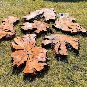 May include: Six irregularly shaped, natural wood slabs with a rough, textured surface. The slabs are a warm brown color and appear to be cut from tree trunks. The text on the image reads "48"x2" 6pcs #689". The slabs are arranged on a bed of green grass.