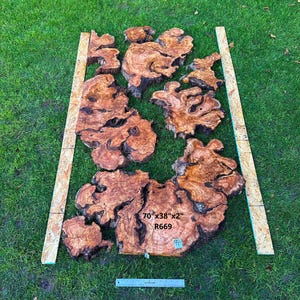 Resin Table Kits with Olive Wood Live Edge Burl