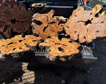 May include: Five large, irregular olive wood slabs with natural live edges and prominent grain patterns. Each slab features a dark, hollow center and a textured, light brown and golden yellow surface, displayed in the bed of a black pickup truck.