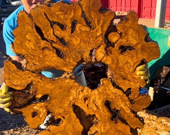 Premium USA Sourced Live Edge Olive Wood Cookie Slab